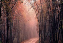 虎扑体育:乒超联赛第一阶段收官 八支球队晋级总决赛.