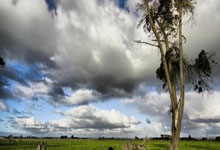 湖人惨遭热浪席卷 吞下本季最惨痛败仗.